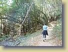 Hiking-Woodside-Oct2011 (7) * 3648 x 2736 * (5.6MB)